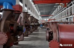 金沙澳门(中国)唯一官方网站被评为2019年度三水区骨干企业